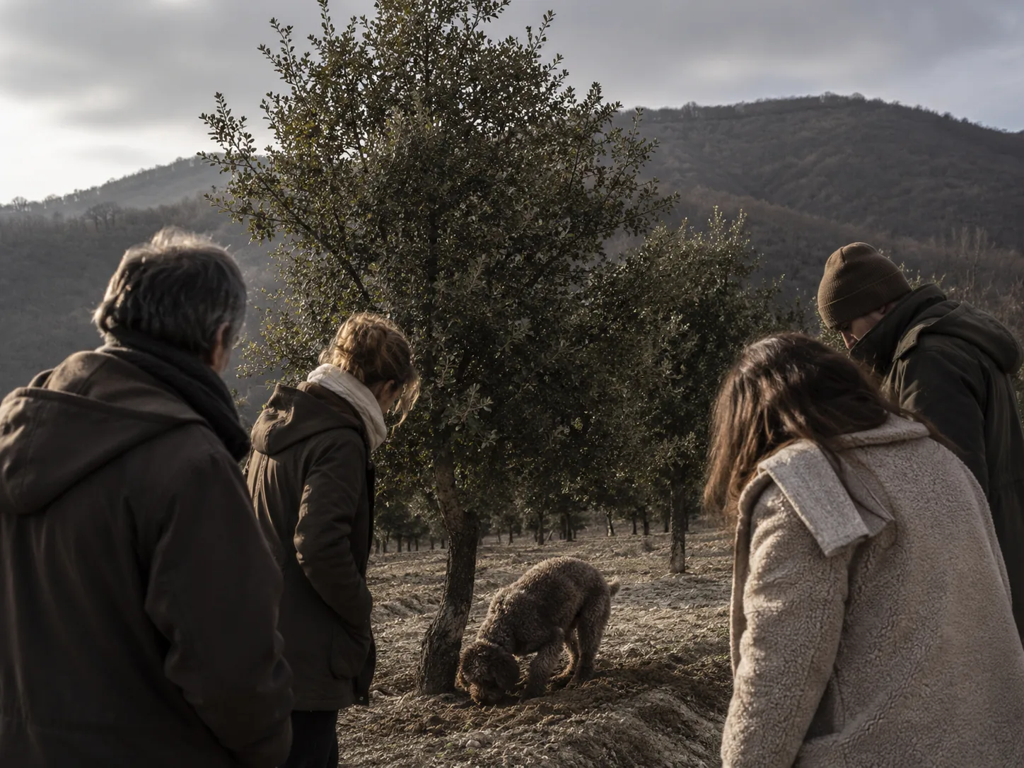 Trüffelreise nach Teruel: Trüffelsuche mit dem Hund
