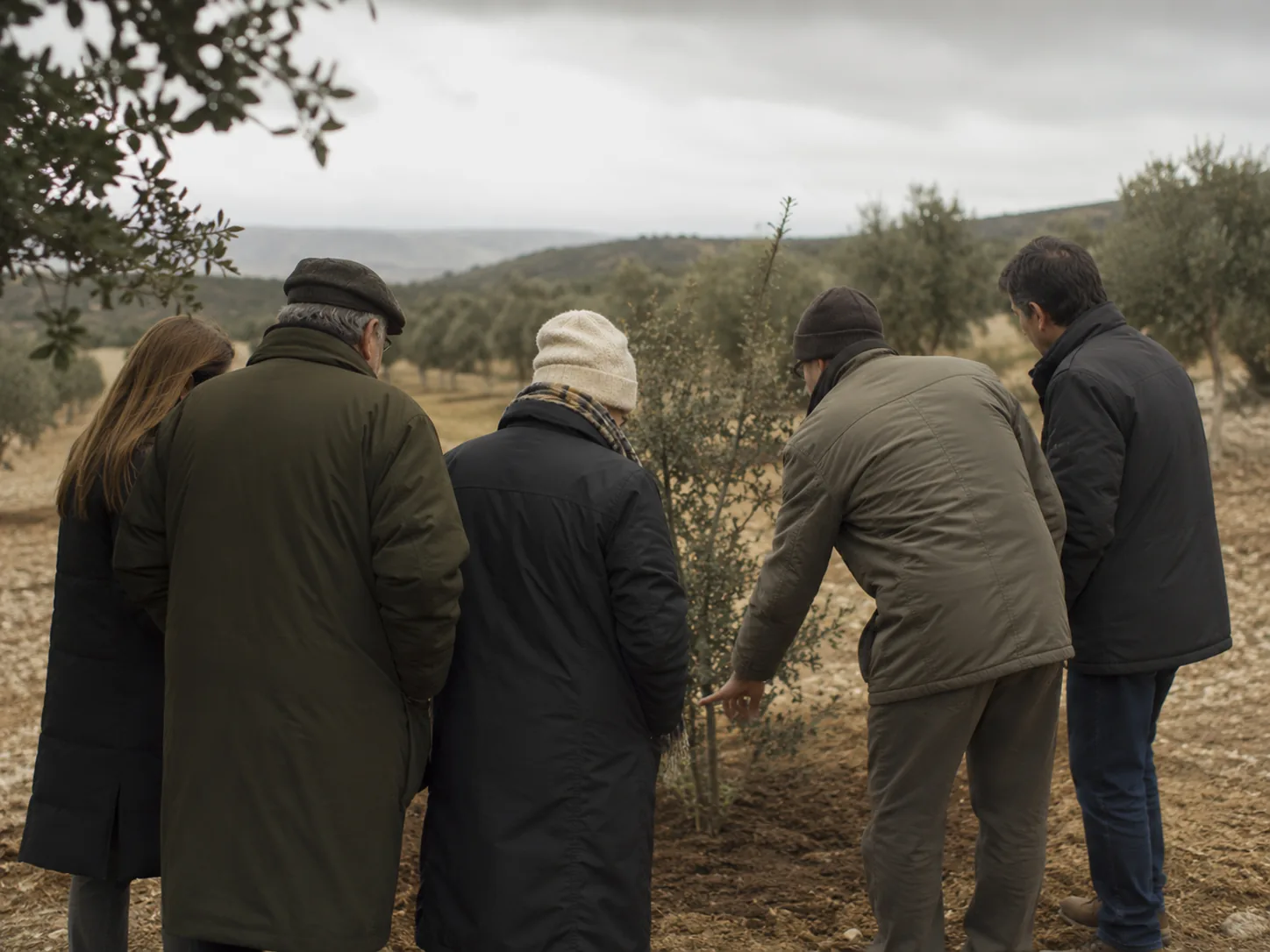 Curso de truficultura: grupo de alumnos en una plantación observando una encina joven